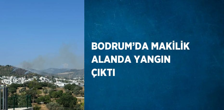 BODRUM’DA MAKİLİK ALANDA YANGIN ÇIKTI