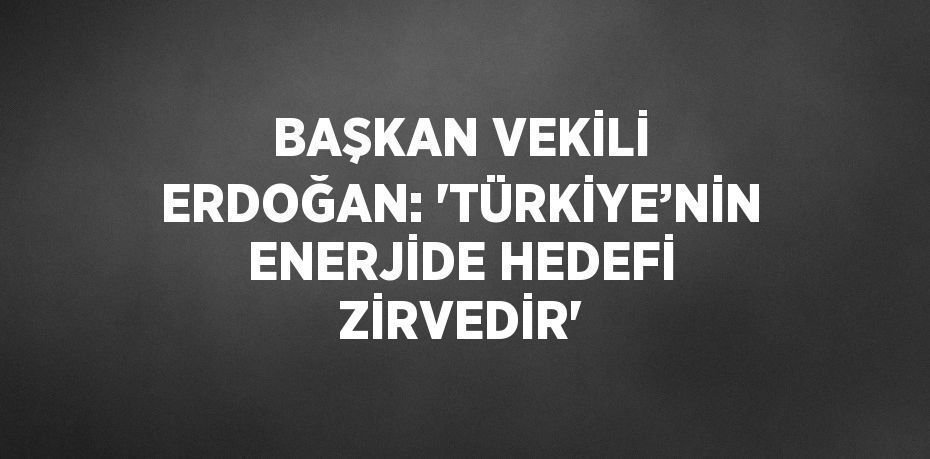 BAŞKAN VEKİLİ ERDOĞAN: 'TÜRKİYE’NİN ENERJİDE HEDEFİ ZİRVEDİR'