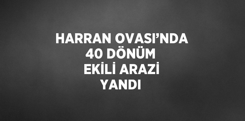 HARRAN OVASI’NDA 40 DÖNÜM EKİLİ ARAZİ YANDI