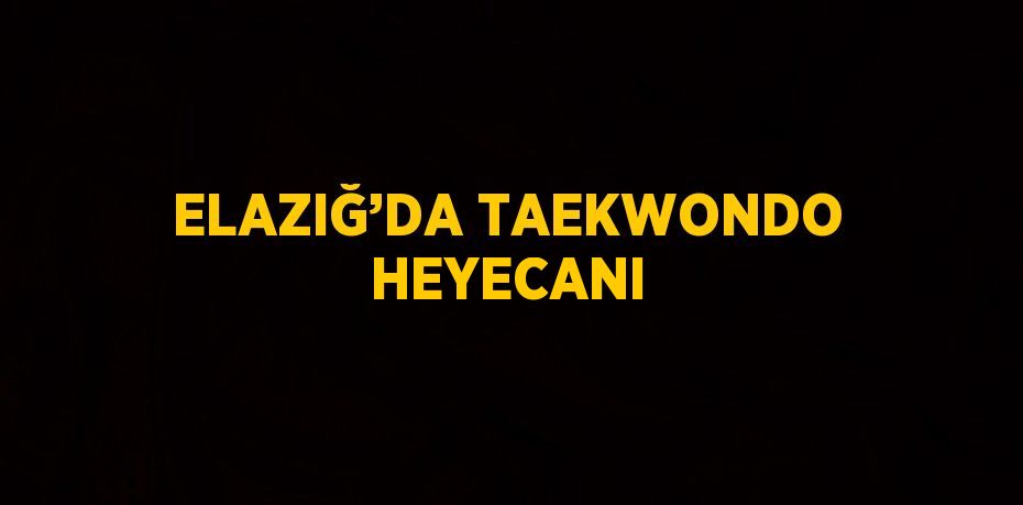 ELAZIĞ’DA TAEKWONDO HEYECANI