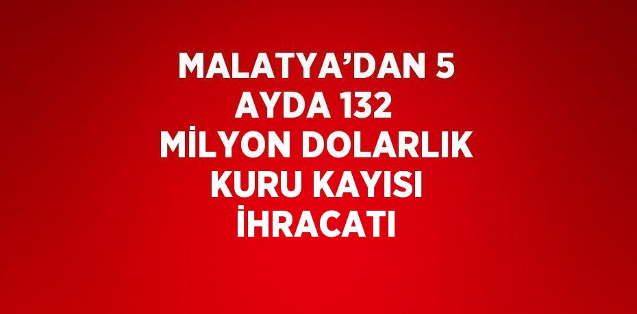 MALATYA’DAN 5 AYDA 132 MİLYON DOLARLIK KURU KAYISI İHRACATI