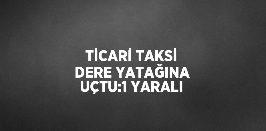 TİCARİ TAKSİ DERE YATAĞINA UÇTU:1 YARALI