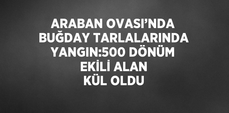 ARABAN OVASI’NDA BUĞDAY TARLALARINDA YANGIN:500 DÖNÜM EKİLİ ALAN KÜL OLDU