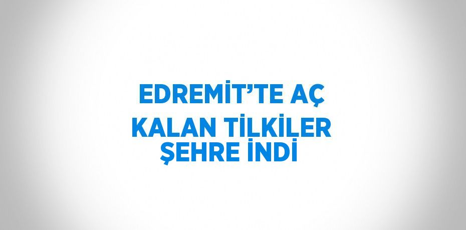 EDREMİT’TE AÇ KALAN TİLKİLER ŞEHRE İNDİ