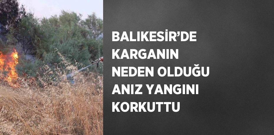 BALIKESİR’DE KARGANIN NEDEN OLDUĞU ANIZ YANGINI KORKUTTU