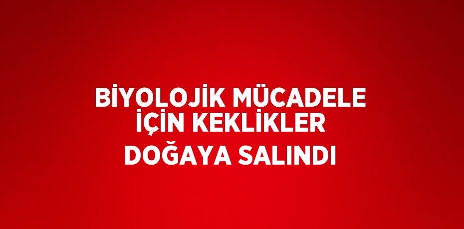 BİYOLOJİK MÜCADELE İÇİN KEKLİKLER DOĞAYA SALINDI