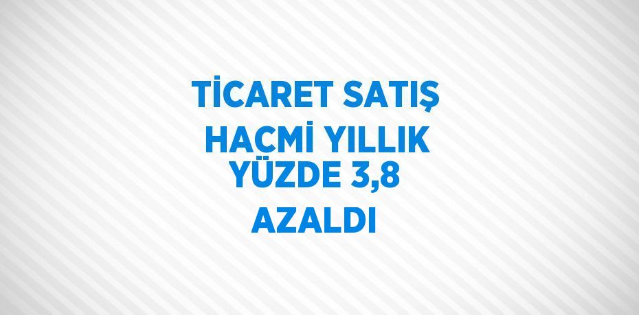 TİCARET SATIŞ HACMİ YILLIK YÜZDE 3,8 AZALDI