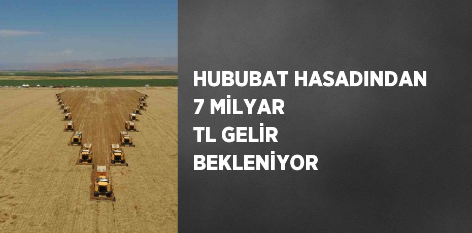 HUBUBAT HASADINDAN 7 MİLYAR TL GELİR BEKLENİYOR