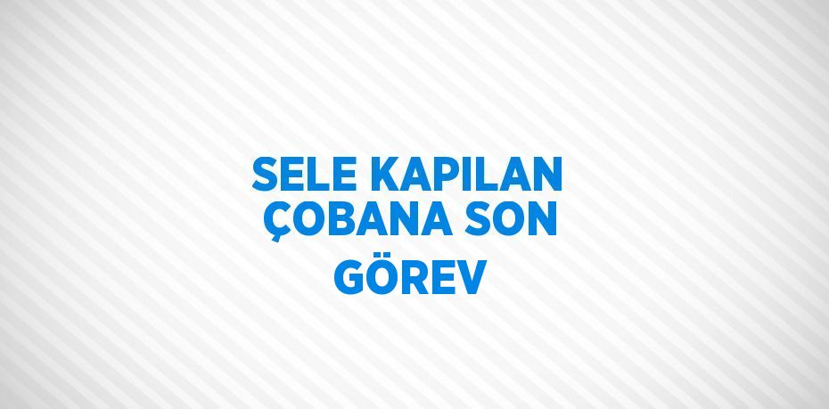 SELE KAPILAN ÇOBANA SON GÖREV