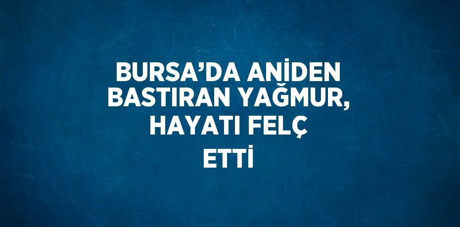 BURSA’DA ANİDEN BASTIRAN YAĞMUR, HAYATI FELÇ ETTİ