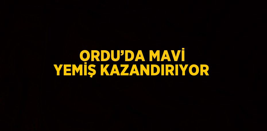 ORDU’DA MAVİ YEMİŞ KAZANDIRIYOR