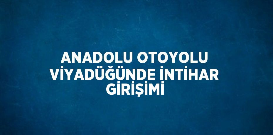 ANADOLU OTOYOLU VİYADÜĞÜNDE İNTİHAR GİRİŞİMİ