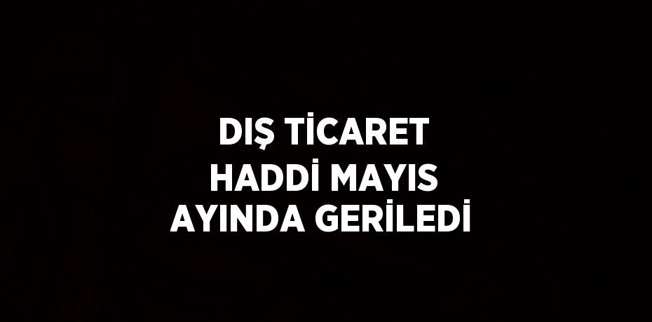 DIŞ TİCARET HADDİ MAYIS AYINDA GERİLEDİ