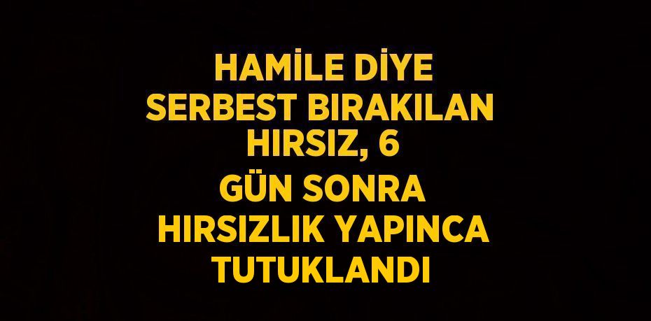 HAMİLE DİYE SERBEST BIRAKILAN HIRSIZ, 6 GÜN SONRA HIRSIZLIK YAPINCA TUTUKLANDI