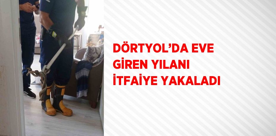 DÖRTYOL’DA EVE GİREN YILANI İTFAİYE YAKALADI