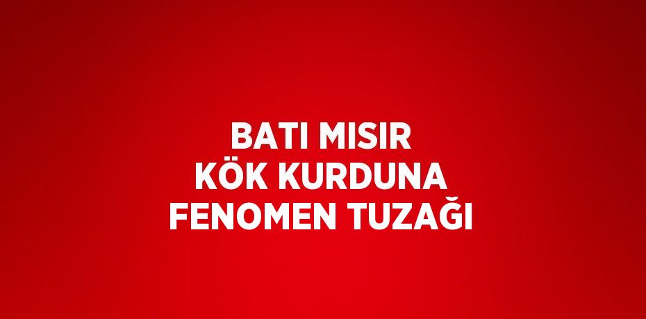 BATI MISIR KÖK KURDUNA FENOMEN TUZAĞI