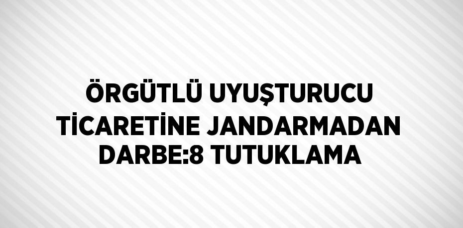 ÖRGÜTLÜ UYUŞTURUCU TİCARETİNE JANDARMADAN DARBE:8 TUTUKLAMA