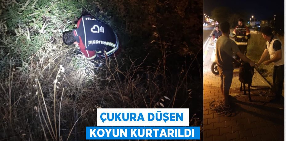 Çukura düşen koyun kurtarıldı