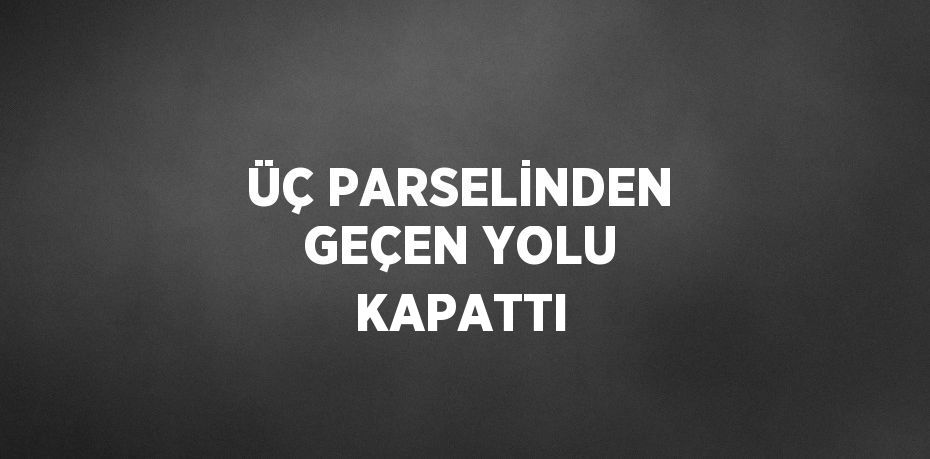 ÜÇ PARSELİNDEN GEÇEN YOLU KAPATTI