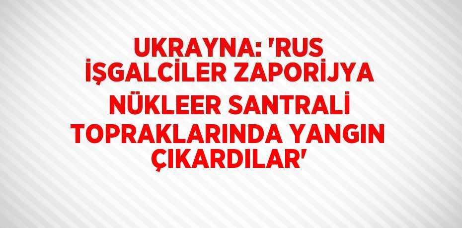 UKRAYNA: 'RUS İŞGALCİLER ZAPORİJYA NÜKLEER SANTRALİ TOPRAKLARINDA YANGIN ÇIKARDILAR'