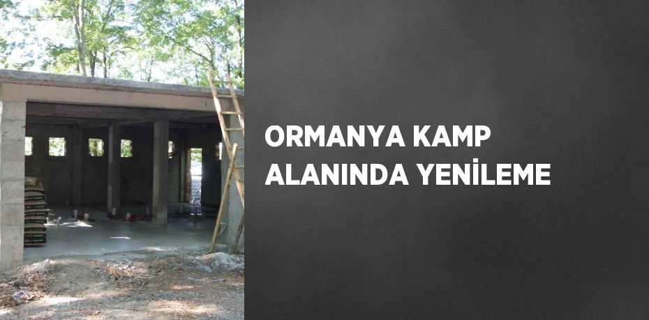 ORMANYA KAMP ALANINDA YENİLEME