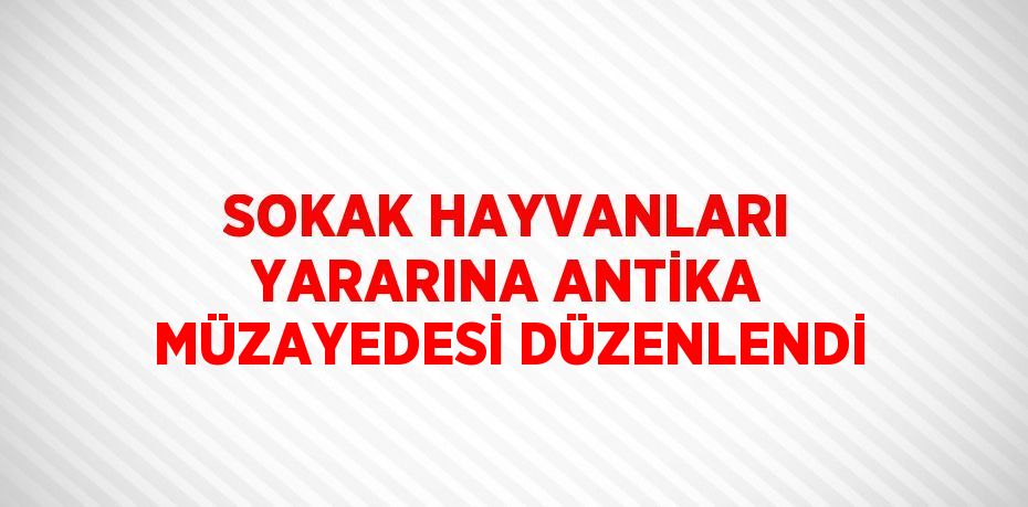 SOKAK HAYVANLARI YARARINA ANTİKA MÜZAYEDESİ DÜZENLENDİ