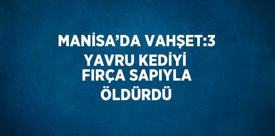 MANİSA’DA VAHŞET:3 YAVRU KEDİYİ FIRÇA SAPIYLA ÖLDÜRDÜ