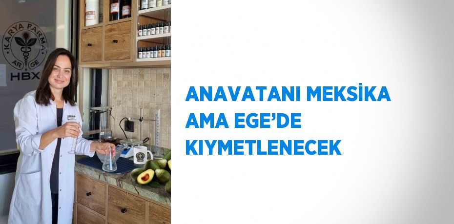 ANAVATANI MEKSİKA AMA EGE’DE KIYMETLENECEK