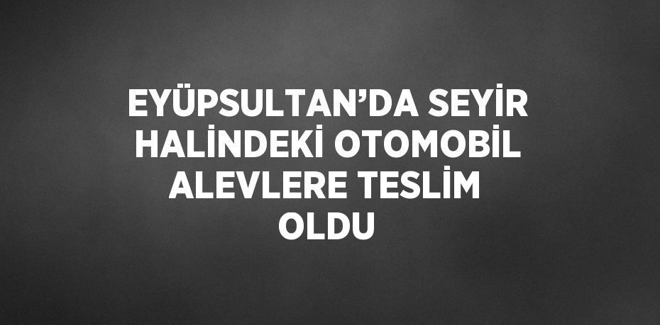 EYÜPSULTAN’DA SEYİR HALİNDEKİ OTOMOBİL ALEVLERE TESLİM OLDU