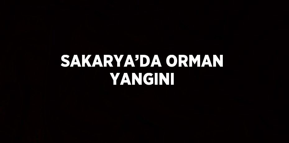 SAKARYA’DA ORMAN YANGINI