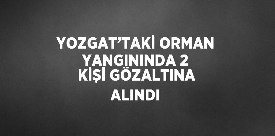 YOZGAT’TAKİ ORMAN YANGININDA 2 KİŞİ GÖZALTINA ALINDI