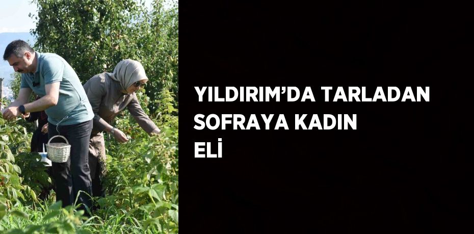 YILDIRIM’DA TARLADAN SOFRAYA KADIN ELİ