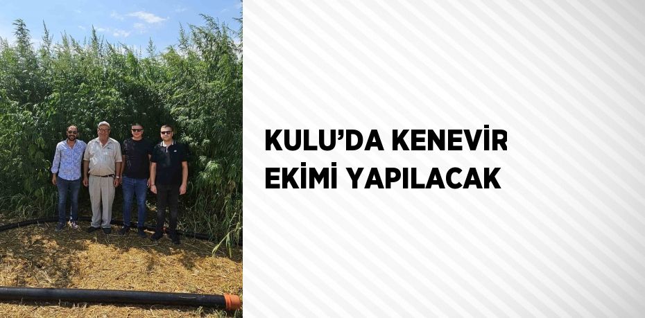 KULU’DA KENEVİR EKİMİ YAPILACAK