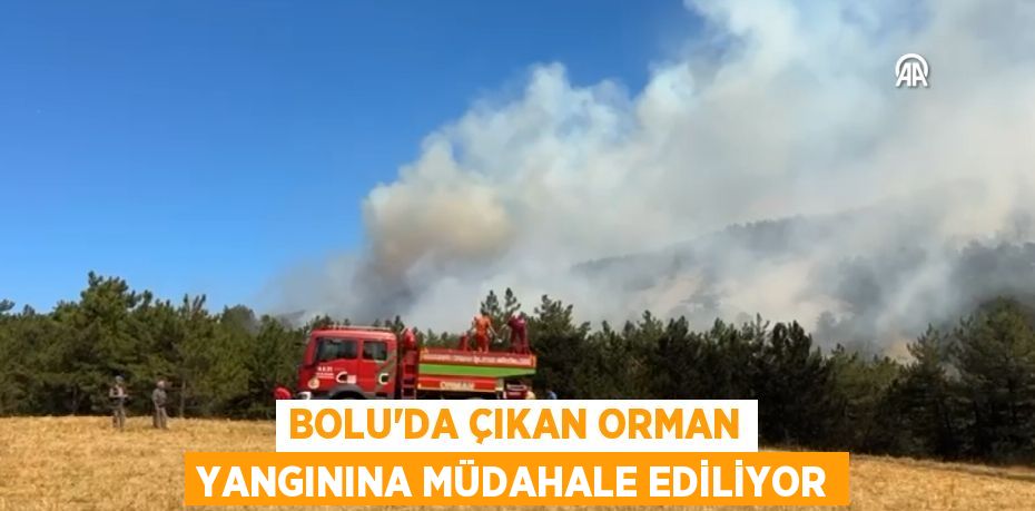 Bolu'da çıkan orman yangınına müdahale ediliyor