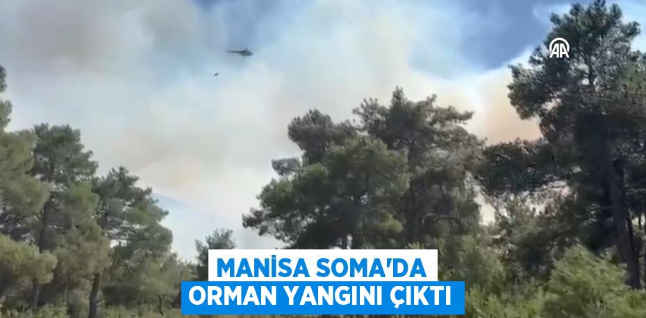 Manisa Soma'da orman yangını çıktı