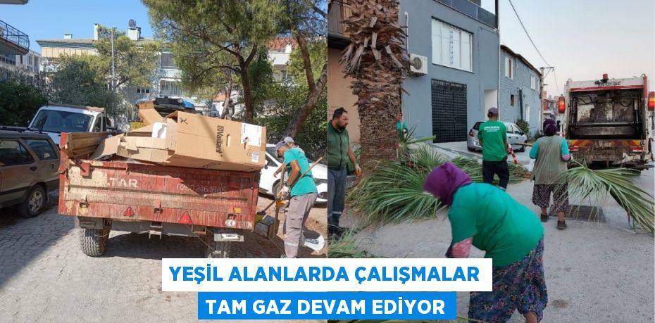 YEŞİL ALANLARDA ÇALIŞMALAR TAM GAZ DEVAM EDİYOR