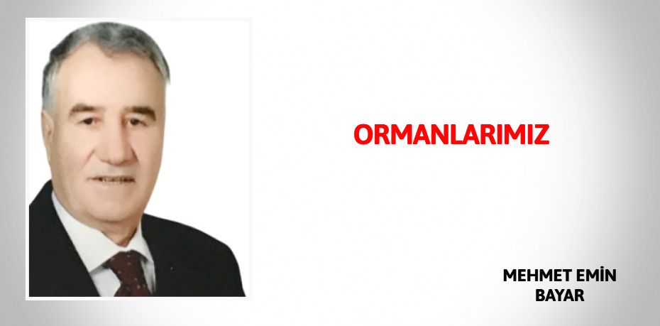 ORMANLARIMIZ