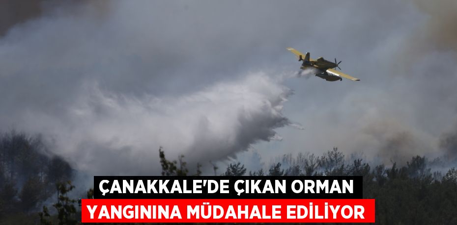 Çanakkale'de çıkan orman yangınına müdahale ediliyor