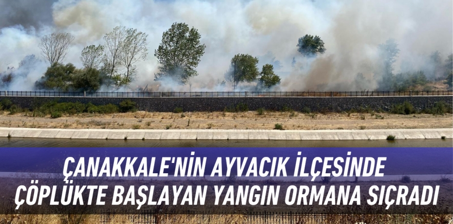 ÇANAKKALE'NİN AYVACIK İLÇESİNDE ÇÖPLÜKTE BAŞLAYAN YANGIN ORMANA SIÇRADI