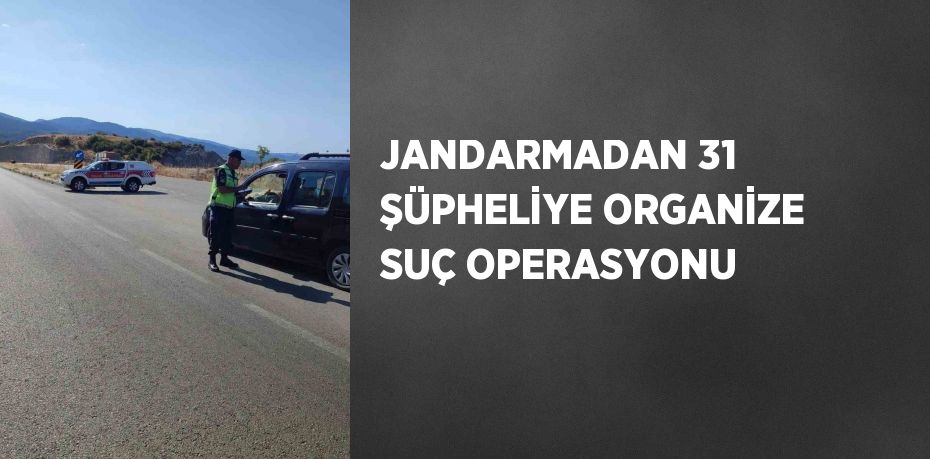 JANDARMADAN 31 ŞÜPHELİYE ORGANİZE SUÇ OPERASYONU