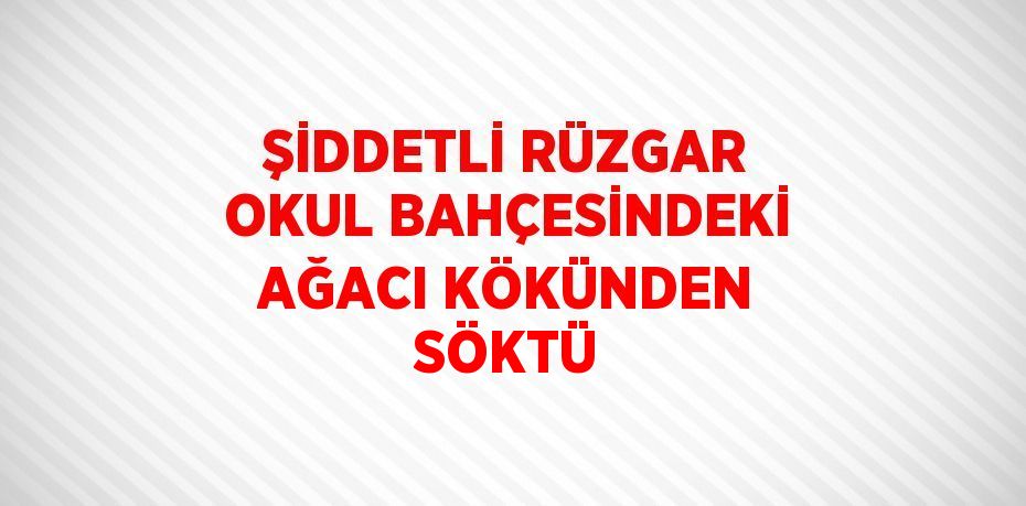 ŞİDDETLİ RÜZGAR OKUL BAHÇESİNDEKİ AĞACI KÖKÜNDEN SÖKTÜ