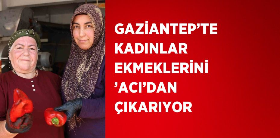 GAZİANTEP’TE KADINLAR EKMEKLERİNİ ’ACI’DAN ÇIKARIYOR