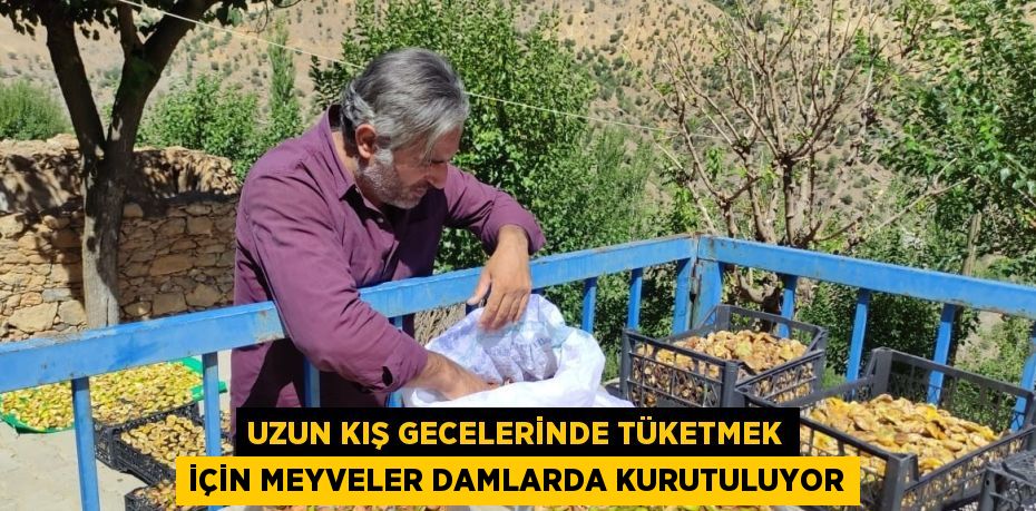 UZUN KIŞ GECELERİNDE TÜKETMEK İÇİN MEYVELER DAMLARDA KURUTULUYOR