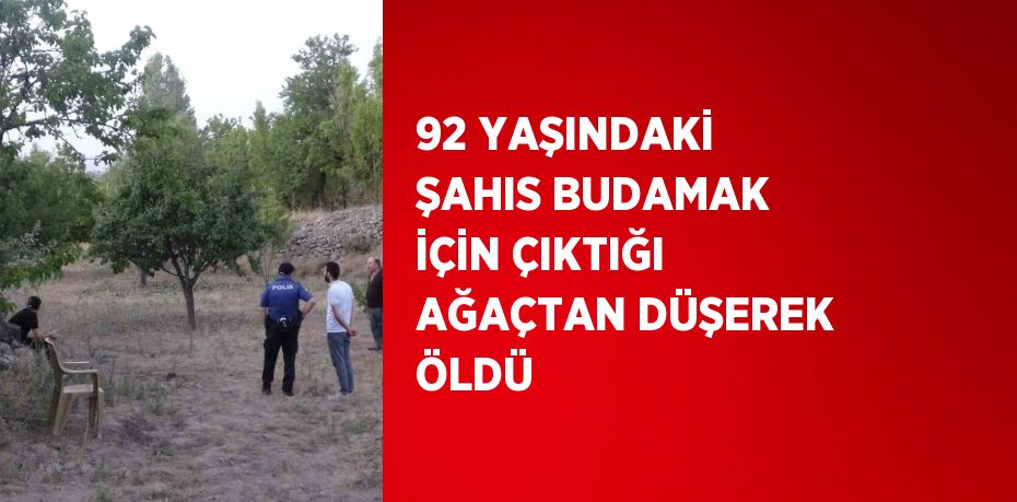 92 YAŞINDAKİ ŞAHIS BUDAMAK İÇİN ÇIKTIĞI AĞAÇTAN DÜŞEREK ÖLDÜ