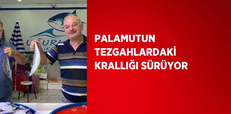 PALAMUTUN TEZGAHLARDAKİ KRALLIĞI SÜRÜYOR