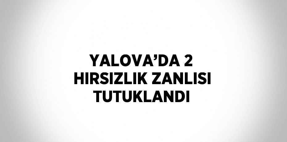 YALOVA’DA 2 HIRSIZLIK ZANLISI TUTUKLANDI