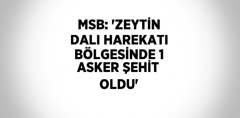 MSB: 'ZEYTİN DALI HAREKATI BÖLGESİNDE 1 ASKER ŞEHİT OLDU'