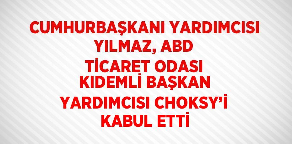 CUMHURBAŞKANI YARDIMCISI YILMAZ, ABD TİCARET ODASI KIDEMLİ BAŞKAN YARDIMCISI CHOKSY’İ KABUL ETTİ