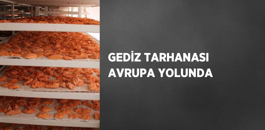 GEDİZ TARHANASI AVRUPA YOLUNDA