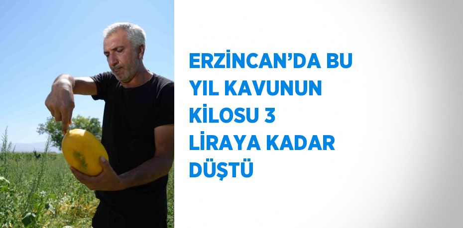 ERZİNCAN’DA BU YIL KAVUNUN KİLOSU 3 LİRAYA KADAR DÜŞTÜ